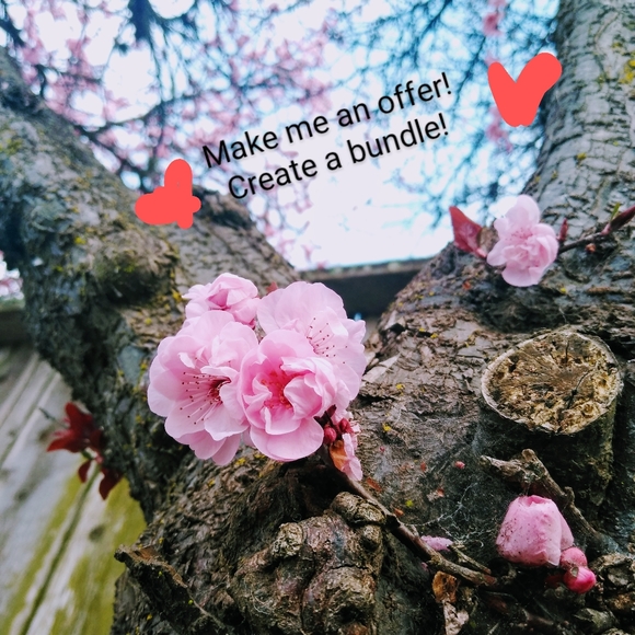 Just poshing!🌼🌼 - Picture 1 of 1